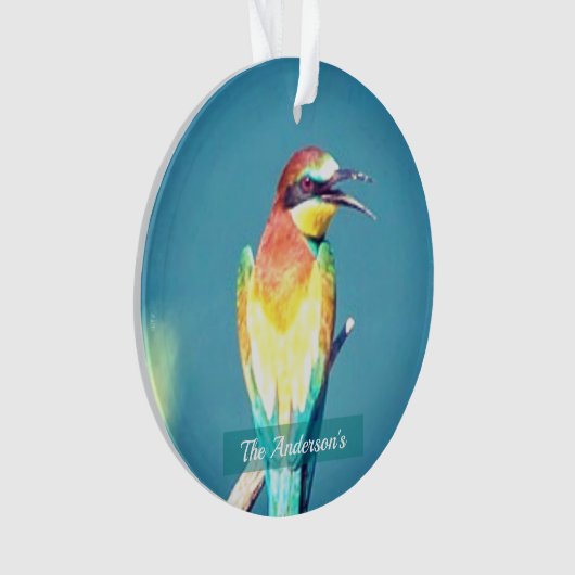 Gepersonaliseerde aangepaste kleurrijke vogelfoto ornament (voorkant)