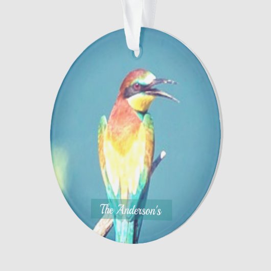 Gepersonaliseerde aangepaste kleurrijke vogelfoto ornament (voorkant)