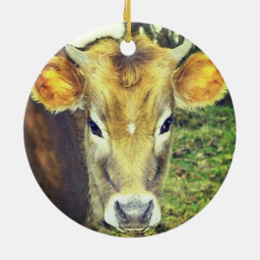 Gepersonaliseerde aangepaste Koe foto Keramisch Ornament (Achterkant)