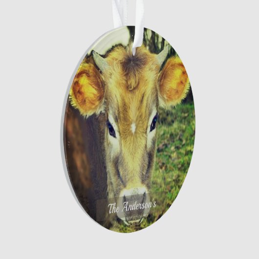 Gepersonaliseerde aangepaste Koe foto Ornament (voorkant)
