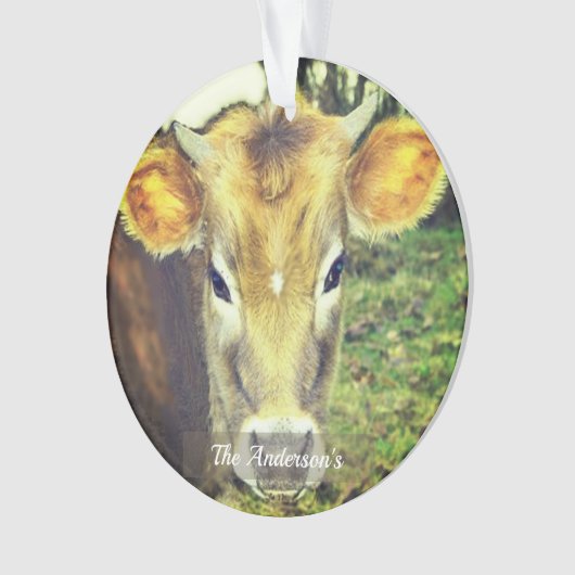 Gepersonaliseerde aangepaste Koe foto Ornament (voorkant)