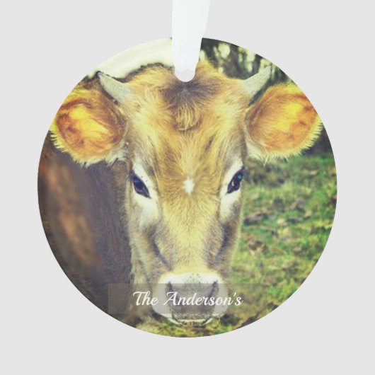 Gepersonaliseerde aangepaste Koe foto Ornament (voorkant)