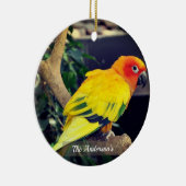 Gepersonaliseerde aangepaste Lovebird foto Keramisch Ornament (Rechts)