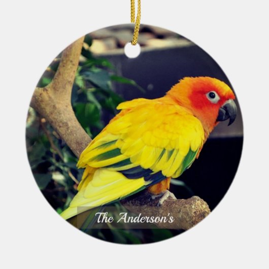 Gepersonaliseerde aangepaste Lovebird foto Keramisch Ornament (Voorkant)