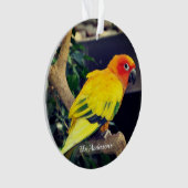 Gepersonaliseerde aangepaste Lovebird foto Ornament (voorkant)