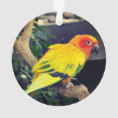 Gepersonaliseerde aangepaste Lovebird foto Ornament (achterkant)