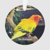 Gepersonaliseerde aangepaste Lovebird foto Ornament (voorkant)