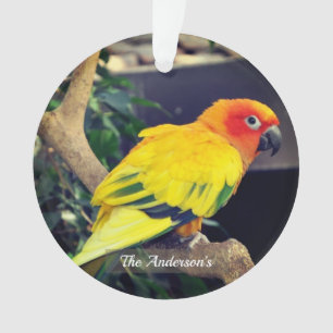 Gepersonaliseerde aangepaste Lovebird foto Ornament