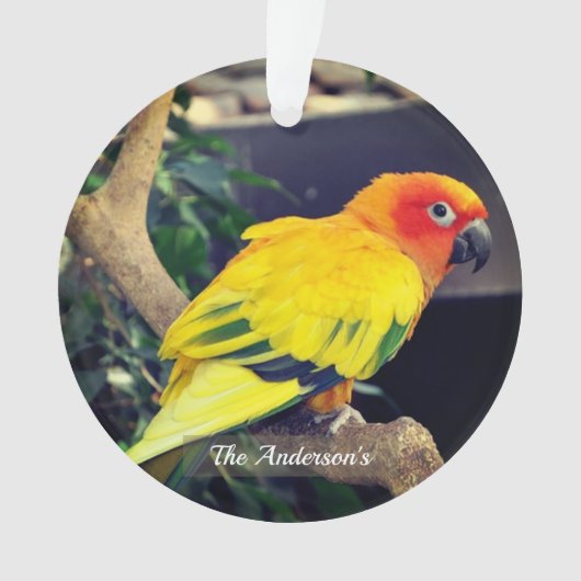 Gepersonaliseerde aangepaste Lovebird foto Ornament (voorkant)