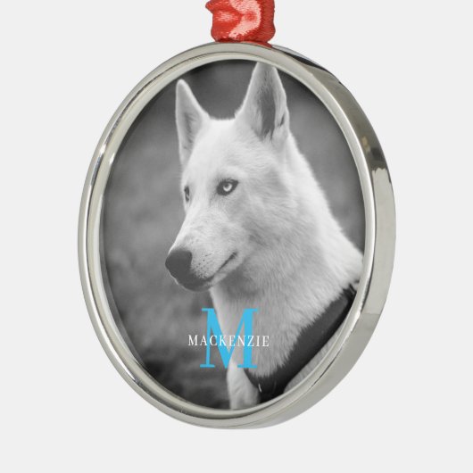 Gepersonaliseerde aangepaste monogram elegante hon metalen ornament (Links)