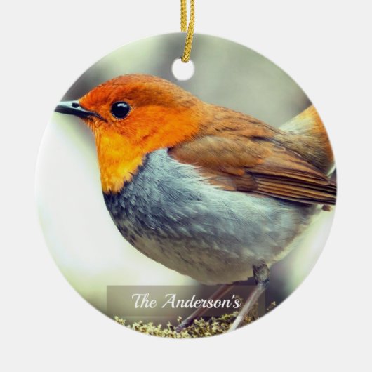 Gepersonaliseerde aangepaste Robin Bird Foto Keramisch Ornament (Voorkant)