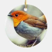 Gepersonaliseerde aangepaste Robin Bird Foto Keramisch Ornament (Achterkant)