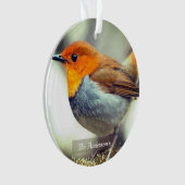 Gepersonaliseerde aangepaste Robin Bird Foto Ornament (voorkant)