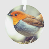 Gepersonaliseerde aangepaste Robin Bird Foto Ornament (achterkant)