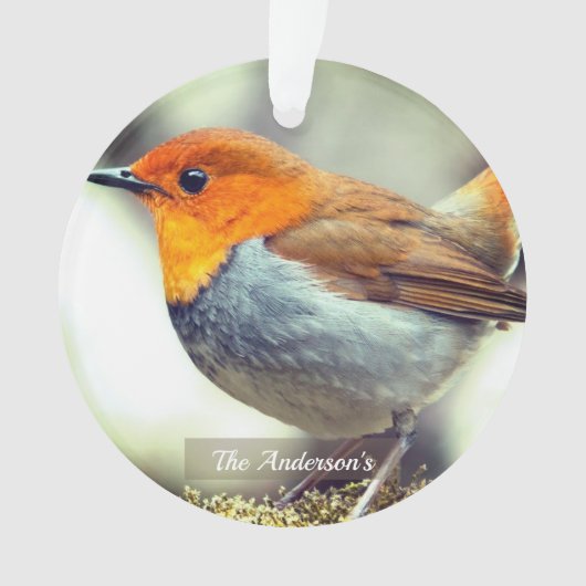 Gepersonaliseerde aangepaste Robin Bird Foto Ornament (voorkant)