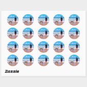 Gepersonaliseerde Aangepaste Uw Pet Photo Sticker (Vel)