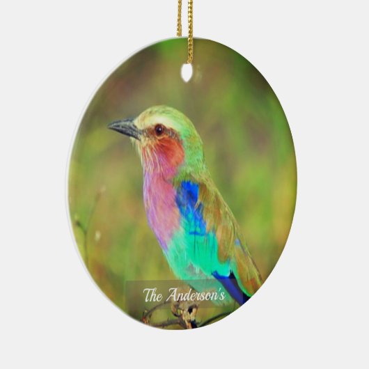 Gepersonaliseerde aangepaste veelkleurige vogelfot keramisch ornament (Rechts)