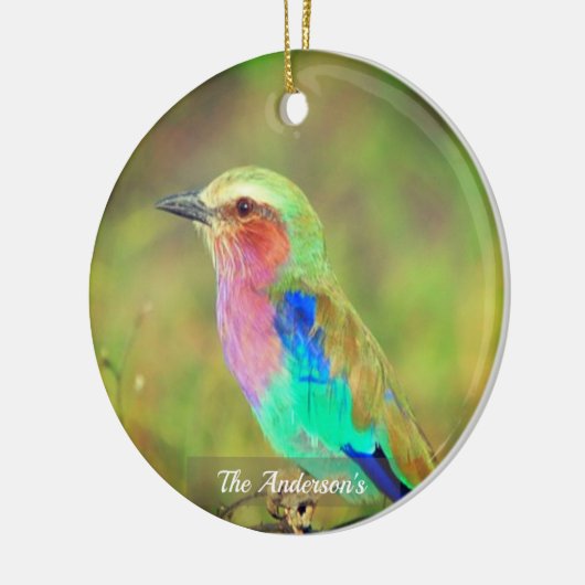 Gepersonaliseerde aangepaste veelkleurige vogelfot keramisch ornament (Links)