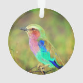 Gepersonaliseerde aangepaste veelkleurige vogelfot ornament (achterkant)