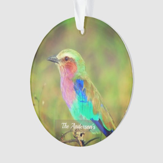 Gepersonaliseerde aangepaste veelkleurige vogelfot ornament (voorkant)
