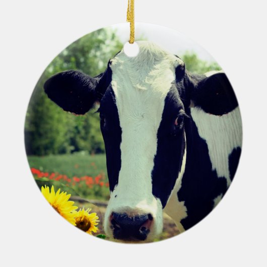 Gepersonaliseerde aangepaste zwart-wit Koe foto Keramisch Ornament (Achterkant)