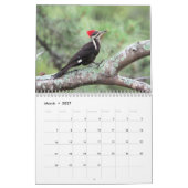 Gepersonaliseerde agenda voor vogels kalender (Mar 2027)