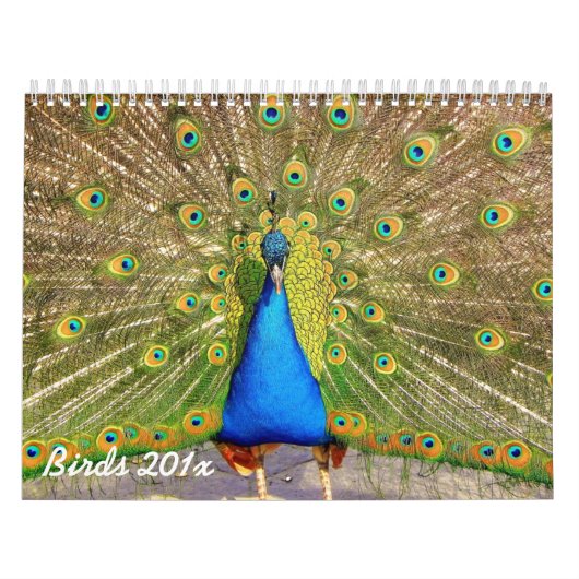 Gepersonaliseerde agenda voor vogels kalender (Hoes)