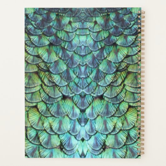 Gepersonaliseerde Aqua Vibrant Peacock Feathers We Planner (Achterkant)