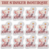 Gepersonaliseerde Axolotl Sticker Pack – Aangepast (Voorkant)