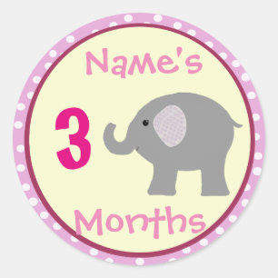 Gepersonaliseerde Baby Meisje Olifant Maand Sticke Ronde Sticker