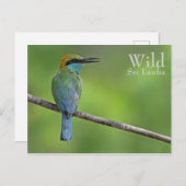 Gepersonaliseerde bijeneter briefkaart (Voorkant / Achterkant)