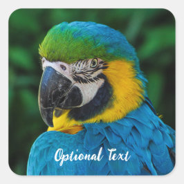 Gepersonaliseerde Blauwe en Gele Macaw Parrot Vierkante Sticker
