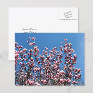 Gepersonaliseerde blauwe magnolia bloemen briefkaart