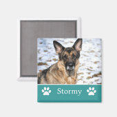 Gepersonaliseerde Blauwgroen Pet Photo Magnet (Voorkant / Achterkant)