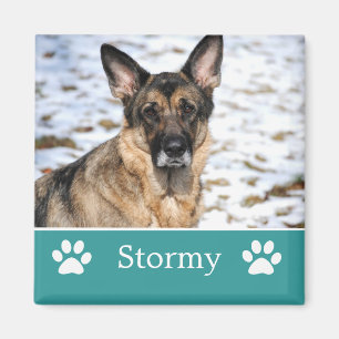 Gepersonaliseerde Blauwgroen Pet Photo Magnet