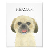 Gepersonaliseerde blondine gouden shih tzu kunst foto afdruk (Voorkant)