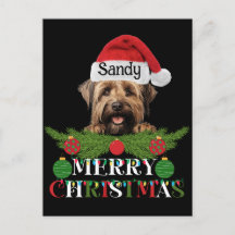 Gepersonaliseerde Briard Dog Merry Christmas
