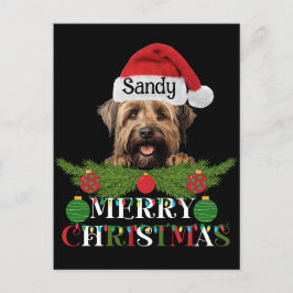 Gepersonaliseerde Briard Dog Merry Christmas Feestdagenkaart