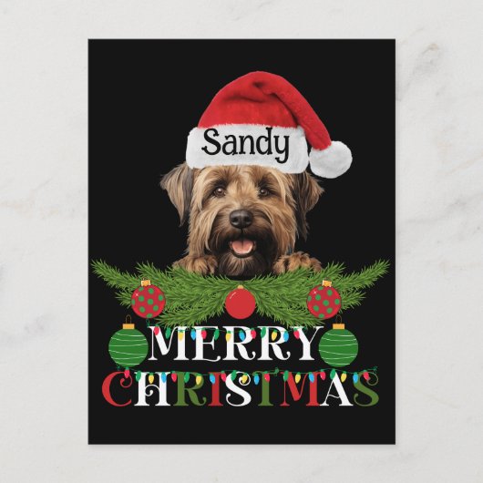 Gepersonaliseerde Briard Dog Merry Christmas Feestdagenkaart (Voorkant)