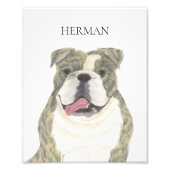 Gepersonaliseerde Brindle Engelse Bulldog Art Foto Afdruk (Voorkant)