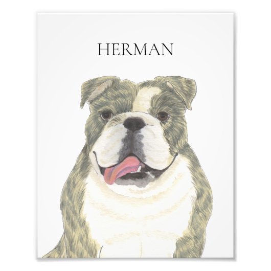 Gepersonaliseerde Brindle Engelse Bulldog Art Foto Afdruk (Voorkant)