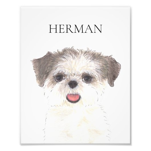 Gepersonaliseerde Bruin en Wit Shih Tzu Art Foto Afdruk (Voorkant)
