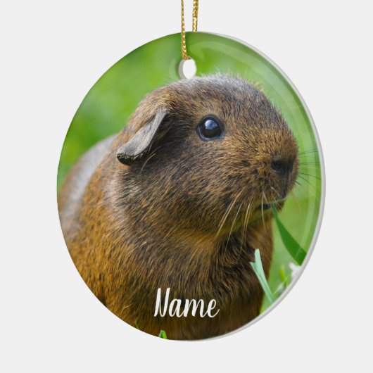 Gepersonaliseerde bruine Guinee Pig Keramisch Ornament (Links)