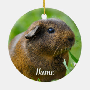 Gepersonaliseerde bruine Guinee Pig Keramisch Ornament