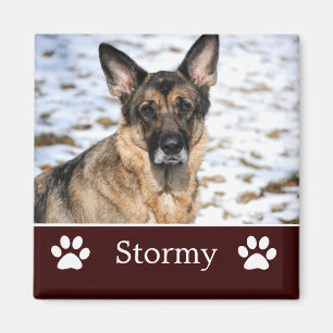 Gepersonaliseerde bruine huisdier foto magneet