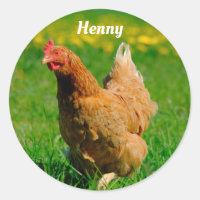 Gepersonaliseerde bruine kip in het gras