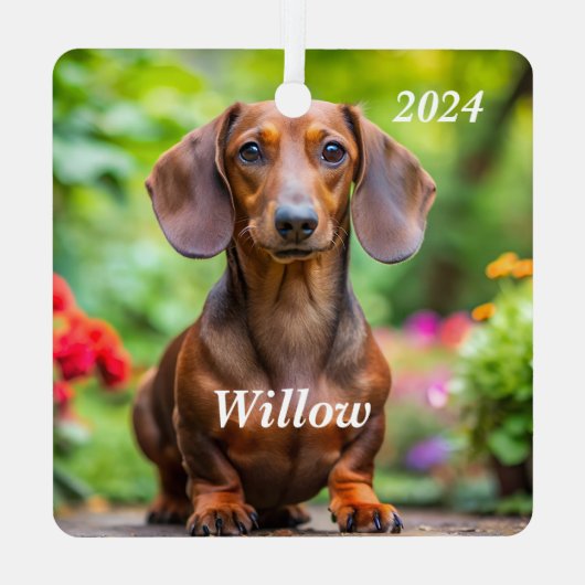 Gepersonaliseerde bruine teckel - Doxie Metalen Ornament (Achterkant)