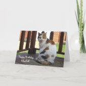 Gepersonaliseerde Calico-kat Birthday Kaart (Voorkant)