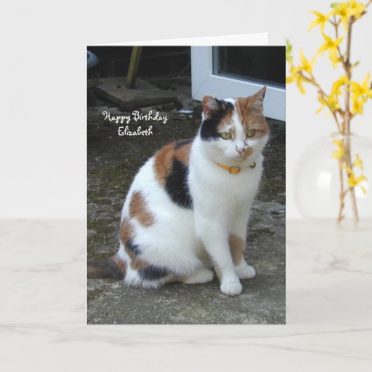 Gepersonaliseerde Calico kat zit buiten Verjaardag Kaart (Gele Bloem)