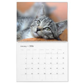 Gepersonaliseerde Cat Lover Familie Custom Foto's  Kalender (Jan 2026)